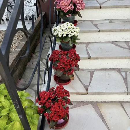Mimimamy Bed & Breakfast Drancy